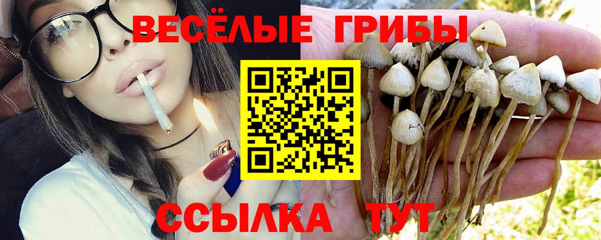Галлюциногенные грибы GOLDEN TEACHER  Вход с VPN  Барабинск 